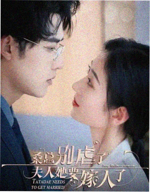 秋霜电视剧全集在线-热血高校